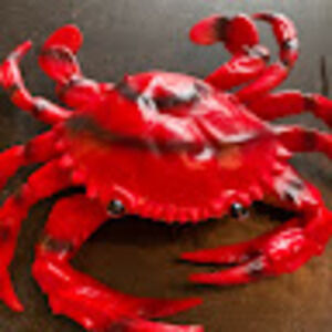 Meet your Posher, Elli